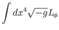 $\displaystyle \int dx^{4}\sqrt{-g}\mathit{L}_{\phi }$