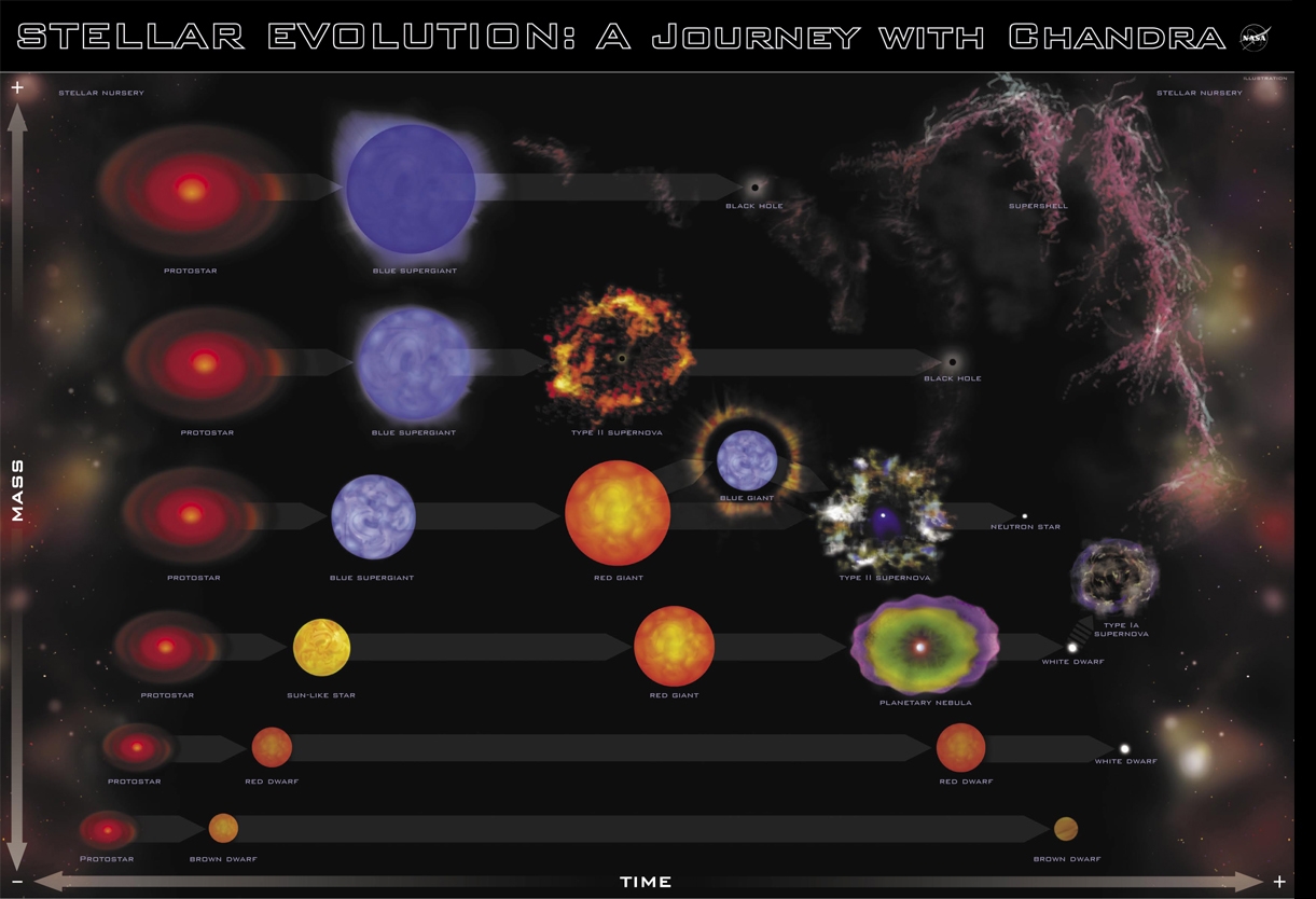 A csillagok lehetsges fejlődsi tjai (a kezdeti tmegtől fggően) a Chandra űrtvcsvet irnyt munkacsoport ltal ksztett brn (www.chandra.harvard.edu).